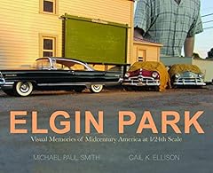 Elgin park visual for sale  Delivered anywhere in USA 