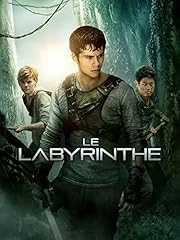 Labyrinthe d'occasion  Livré partout en France