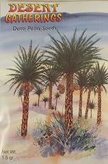 Date palm seeds for sale  Delivered anywhere in USA 