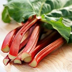 Victoria red rhubarb for sale  Delivered anywhere in USA 