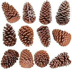Huwena pcs pinecones for sale  Delivered anywhere in USA 