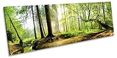 Canvas geeks forest for sale  Delivered anywhere in UK