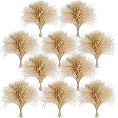 Ckbt 450 pcs for sale  Delivered anywhere in USA 