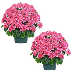 Qianyun artificial topiary for sale  Delivered anywhere in USA 