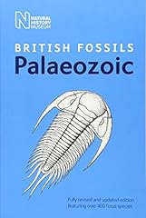 British palaeozoic fossils for sale  Delivered anywhere in UK