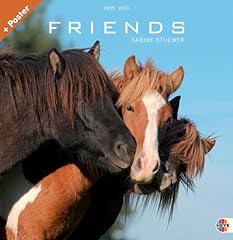 Friends pferde 2013 gebraucht kaufen  Wird an jeden Ort in Deutschland