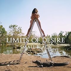 Limits desire 10th for sale  Delivered anywhere in USA 