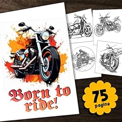 Motociclette motocross libro usato  Spedito ovunque in Italia 