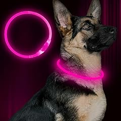 Led dog collar for sale  Delivered anywhere in USA 
