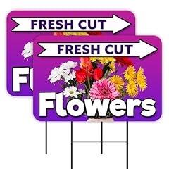 Vista products fresh for sale  Delivered anywhere in USA 