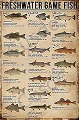 Cusde freshwater game for sale  Delivered anywhere in USA 