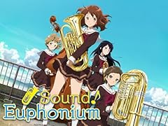Sound euphonium gebraucht kaufen  Wird an jeden Ort in Deutschland