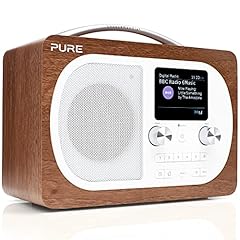 Pure evoke radio d'occasion  Livré partout en Belgiqu