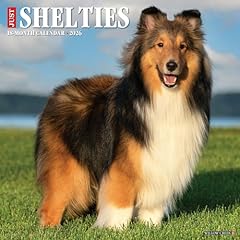 Shelties 2026 wall for sale  Delivered anywhere in UK