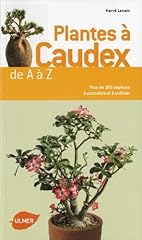 plante a caudex d'occasion plante a caudex d'occasion Livré partout en France