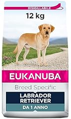 Eukanuba breed specific usato  Spedito ovunque in Italia 