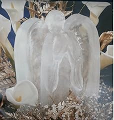 Reusable angel ice for sale  Delivered anywhere in USA 