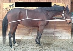 Verladehilfe einladehilfe prob gebraucht kaufen  Wird an jeden Ort in Deutschland
