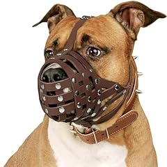 Collardirect pitbull hundemaul gebraucht kaufen  Wird an jeden Ort in Deutschland