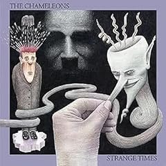Strange times for sale  Delivered anywhere in UK