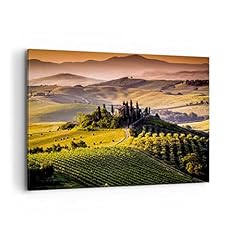 Quadro tela 100x70cm usato  Spedito ovunque in Italia 
