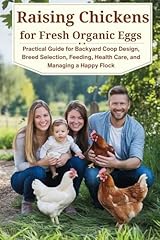 Raising chickens fresh for sale  Delivered anywhere in USA 