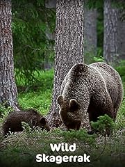 Wild skagerrak for sale  Delivered anywhere in USA 