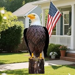 Chisheen bald eagle for sale  Delivered anywhere in USA 