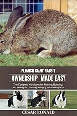 Flemish giant rabbit for sale  Delivered anywhere in USA 