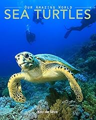 Sea turtles amazing for sale  Delivered anywhere in USA 