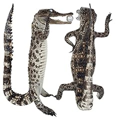 Pack alligator stuffed for sale  Delivered anywhere in USA 