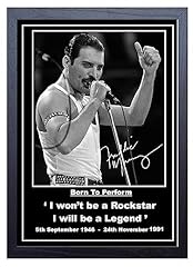 Stunning quality freddie for sale  Delivered anywhere in UK