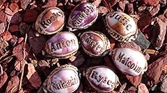 Ally personalized seashells for sale  Delivered anywhere in USA 
