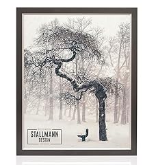 Stallmann design frames gebraucht kaufen  Wird an jeden Ort in Deutschland