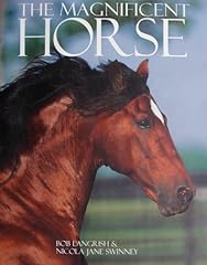 Magnificent horse for sale  Delivered anywhere in USA 
