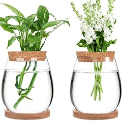Plant propagation jars for sale  Delivered anywhere in USA 