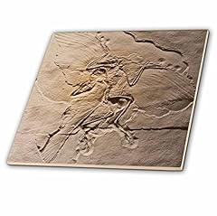 3drose 16716 archaeopteryx for sale  Delivered anywhere in USA 