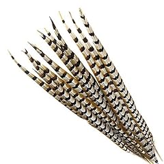 Reeves pheasant tail for sale  Delivered anywhere in USA 
