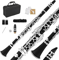 Tinmagi clarinetto sib usato  Spedito ovunque in Italia 