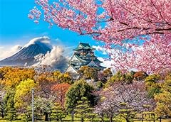 Osaka castle jigsaw for sale  Delivered anywhere in Ireland