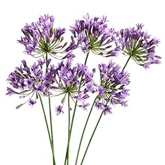 6pcs artificial agapanthus for sale  Delivered anywhere in USA 