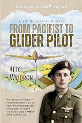 Pacifist glider pilot for sale  Delivered anywhere in UK