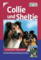 Collie und sheltie for sale  Delivered anywhere in UK