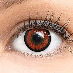 Meralens braune brown gebraucht kaufen  Wird an jeden Ort in Deutschland