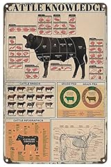 Cattle knowledge metal for sale  Delivered anywhere in UK