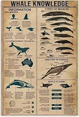 Whale knowledge types for sale  Delivered anywhere in USA 