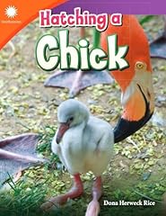 Hatching chick for sale  Delivered anywhere in USA 