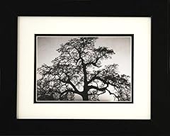 Professionally framed oak for sale  Delivered anywhere in USA 