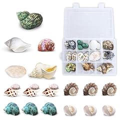 Jor hermit crab for sale  Delivered anywhere in USA 