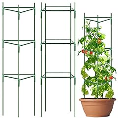 Digiroot tomato plant for sale  Delivered anywhere in UK